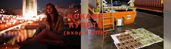 Альфа ПВП Пересвет