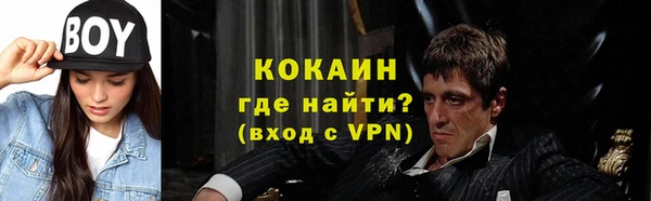Альфа ПВП Пересвет