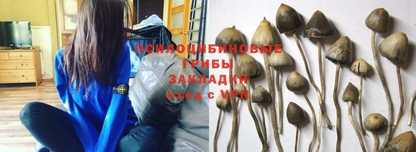кокаин премиум Алексеевка